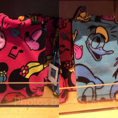 パークで買える厚手のレジャーシート