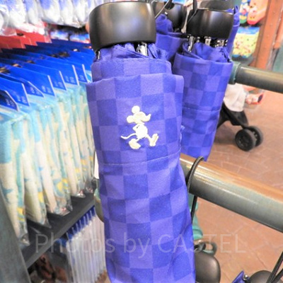 実際は必要なかった持ち物⑤折り畳み傘