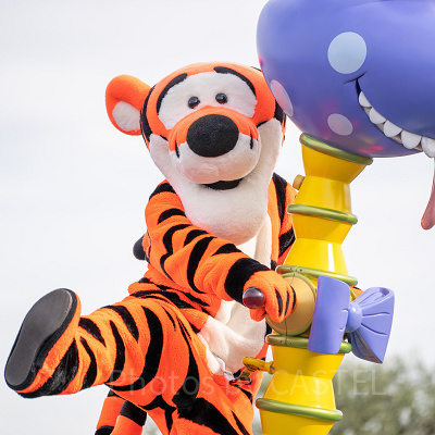 寅年のディズニーに行くならやるべきこと