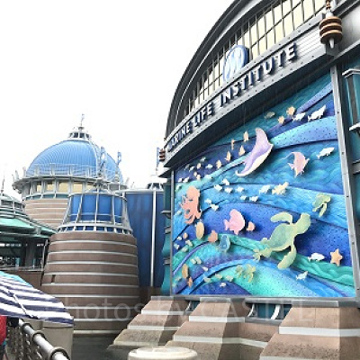 先日オープンしたばかりの新アトラクションです。