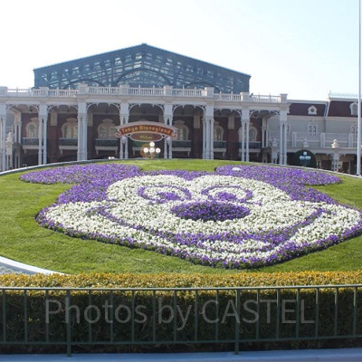 チケットの値段推移