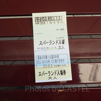 ナガシマスパーランドのチケット