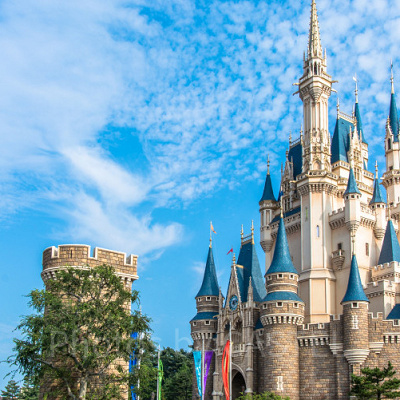 東京ディズニーランドホテル＆シンデレラ城の結婚式| キャステル