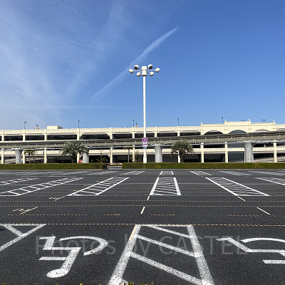 ディズニーランドのディスアビリティ区画