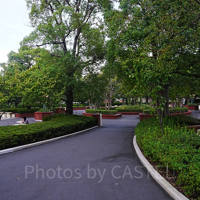 東京ディズニーランド「ピクニックエリア」