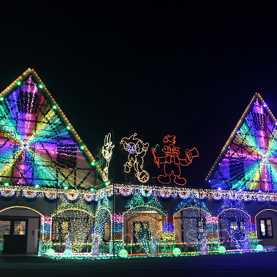 東京ドイツ村のイルミネーション2020