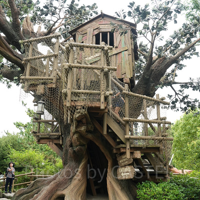 トムのツリーハウス