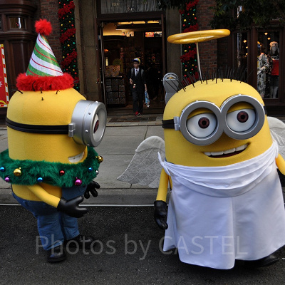 暇を持て余し（？）ジェリーに近よるカール