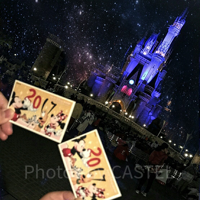 ディズニーランドへの旅行