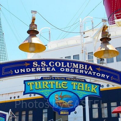 タートル・トーク