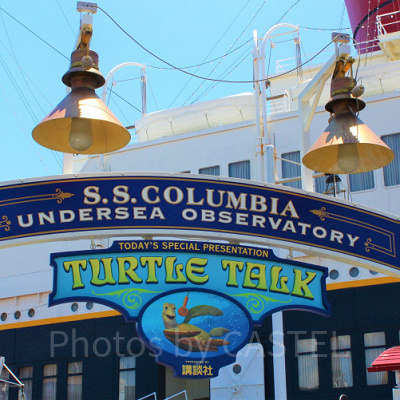 タートル・トーク