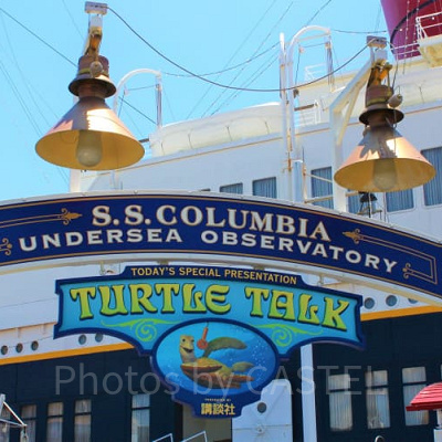 タートル・トーク