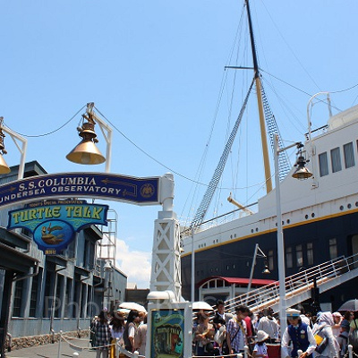 タートル・トーク