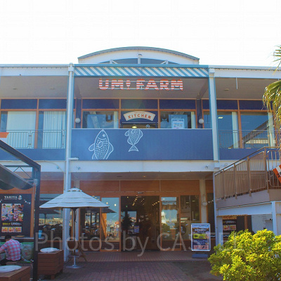 うみファームキッチン