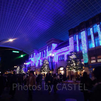 『ロラックスおじさんの秘密の種』：登場キャラクター