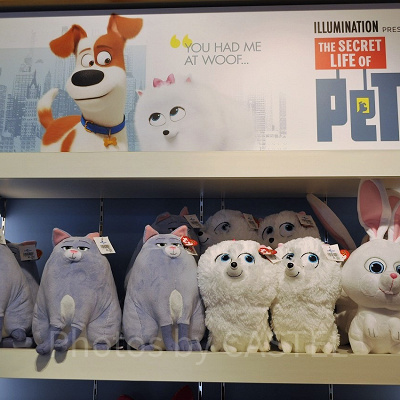 『ロラックスおじさんの秘密の種』：原作