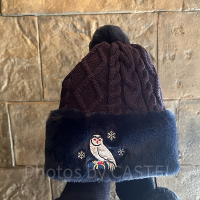 ユニバ冬グッズ：ヘドウィグのニット帽