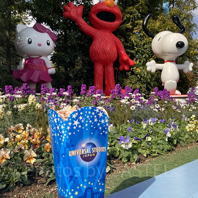 ユニバポップコーンの味