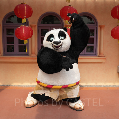 ユニバーサルスタジオシンガポール(USS)：カンフー・パンダのグリーティング