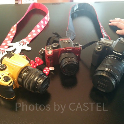 スマホに満足できず、一眼レフカメラとミラーレス一眼に行きついた