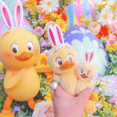 うさピヨ