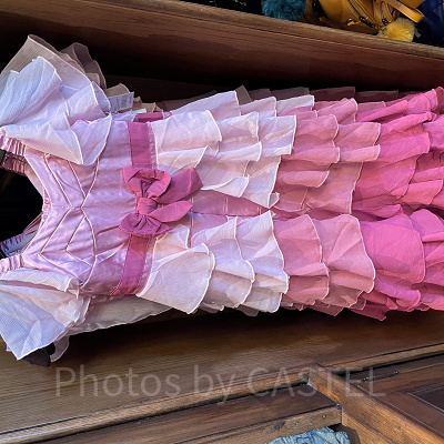 USHグッズ/ハーマイオニーのドレス