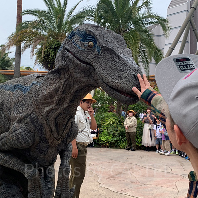 USJ/ジュラシックワールドジャーニーでの様子