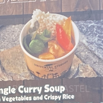 野菜とおこげのジャングルカリースープ