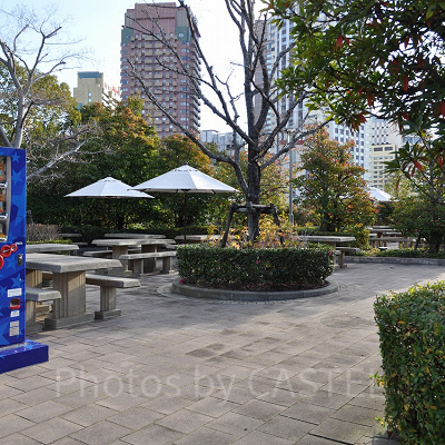 ピクニックエリアには自販機も設置