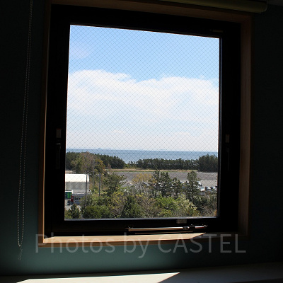 客室からの眺め（一例）