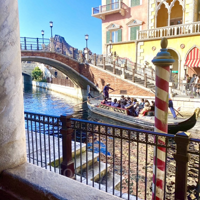 テラス席からの眺め