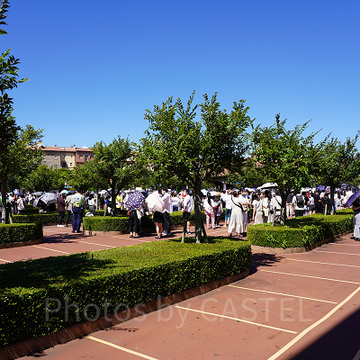 ディズニーシー開園待ちの様子（8月20日）