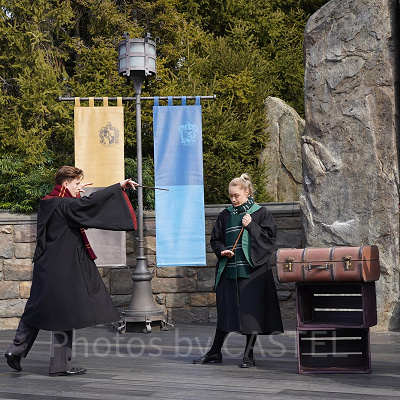 ワンド・スタディ