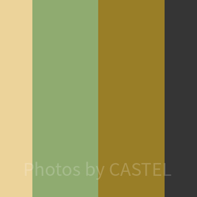 ワサビ（普段着）コーデのカラー