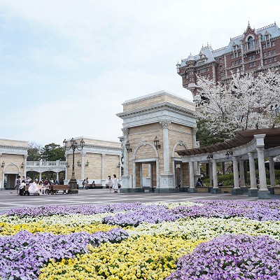 ウォーターフロントパークの桜