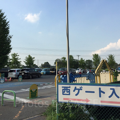 西ゲート側の駐車場