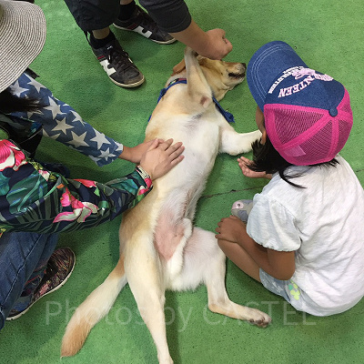 那須どうぶつ王国とは