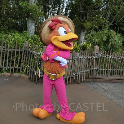 パンチートとは