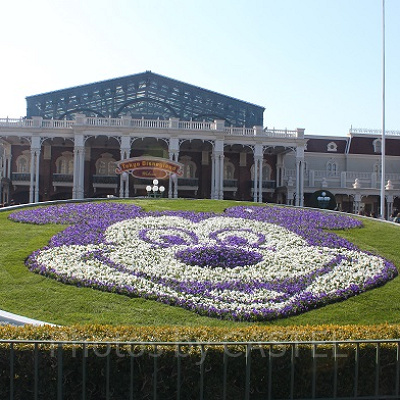 インパしてはじめにすることは？