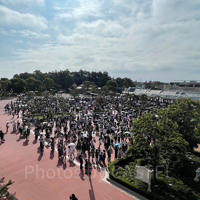 1年間でディズニーが混雑する月はいつ？