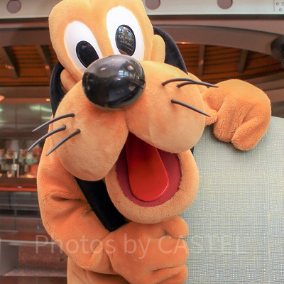 プルートのスクリーンデビューはいつ？