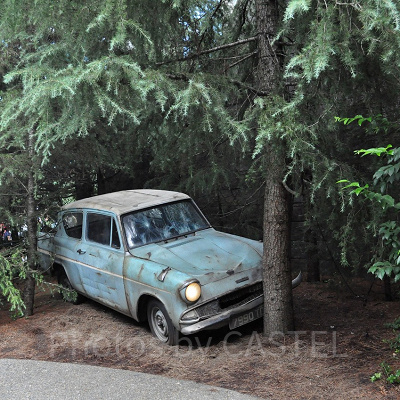 ハリーポッターのドラマはどこで見られる？