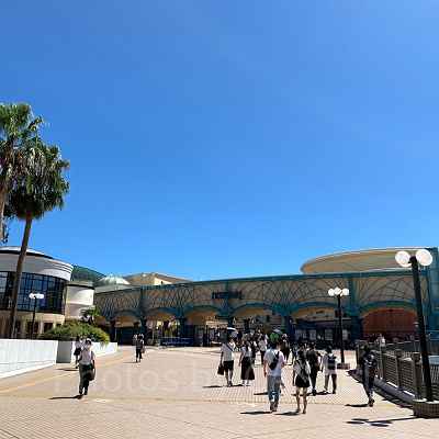 ディズニー当日券はなぜ買える？