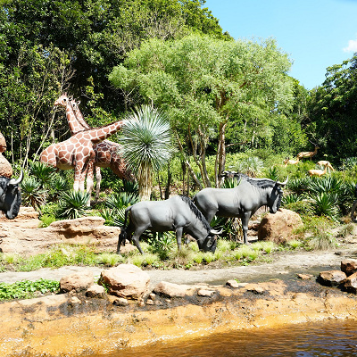 野生の動物たち