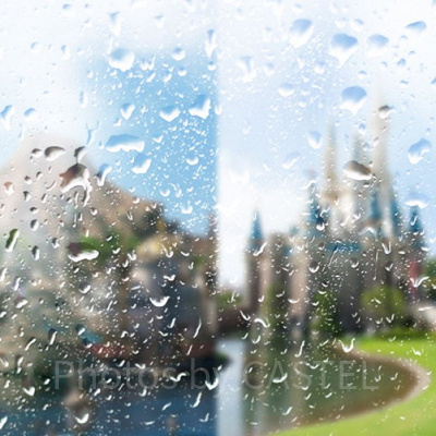 ディズニーは台風の日でも開園する？