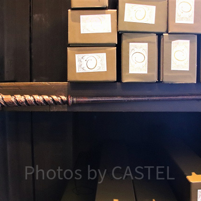 ヤナギ（4/15～5/12）