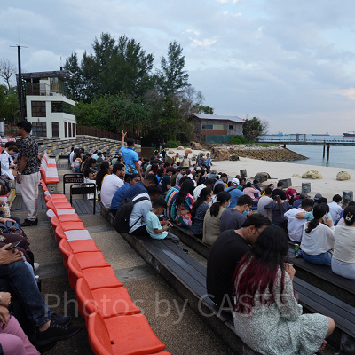 ウイングスオブタイム：プレミアムシート