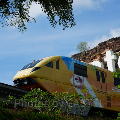 ウイングスオブタイム：セントーサ・エキスプレス