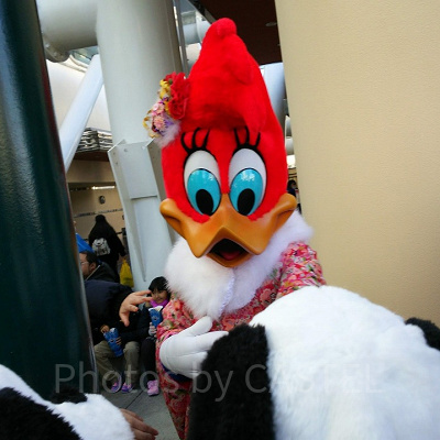 USJのお正月に登場したウィニー・ウッドペッカー