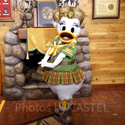 ウッドチャック・グリーティングトレイルのデイジー